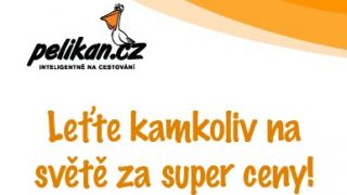 Obrázek