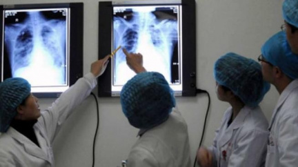 Čínu a Vietnam ohrožuje zmutovaná ptačí chřipka