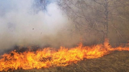 Řecko opět trápí lesní požáry, o pomoc žádá Unii