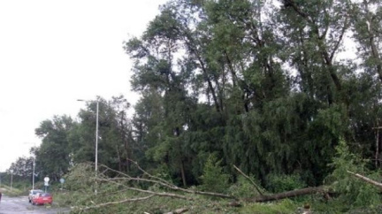 Divoká bouře kácela stromy, voda zatopila sklepy