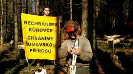 Aktivisté jsou připraveni blokovat kácení na Šumavě i v září