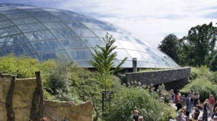 Pražská zoo je nejnavštěvovanějším turistickým cílem, předčila i Hrad