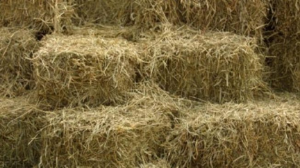 V Českém ráji začaly Slavnosti slámy, otevřel se i slaměný hrad  