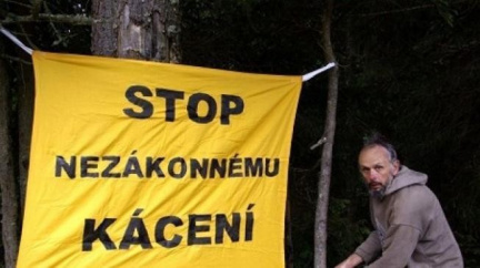 Lidé kácení na Šumavě schvalují