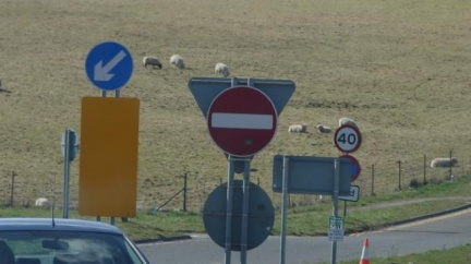 Podaří se někdy odhalit tajemství Stonehenge?