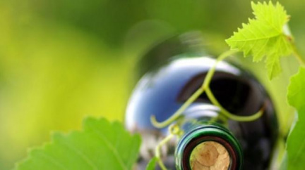 Lékaři informují o příznivém vlivu vína 