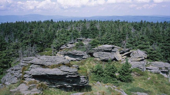 Sprnové počasí bude spíše slunečné, vyložená vedra se však už nevrátí