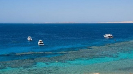 Vysněná letní dovolená? Mezi Čechy kraluje Egypt, Chorvatsko je až páté