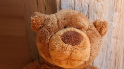 KGB zatýká novináře v Bělorusku kvůli plyšovým medvídkům