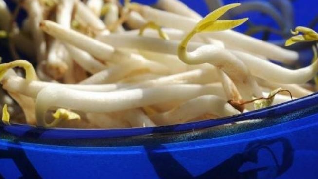 Semena klíčků střevní infekce ve Francii prý pocházejí z Británie 