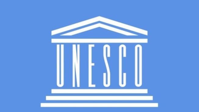 50 lidí demonstrovalo v Praze proti "kozlu zahradníku" v kanceláři UNESCO