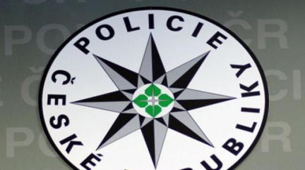 Mladíci se sami udali policii. Za napadení cestujícího v metru obviněni