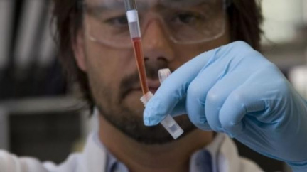 Experti našli nebezpečnou bakterii E.coli ve frankfurtském potoce