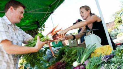 Španělská vláda odškodnění za ´okurky´ po Německu nechce