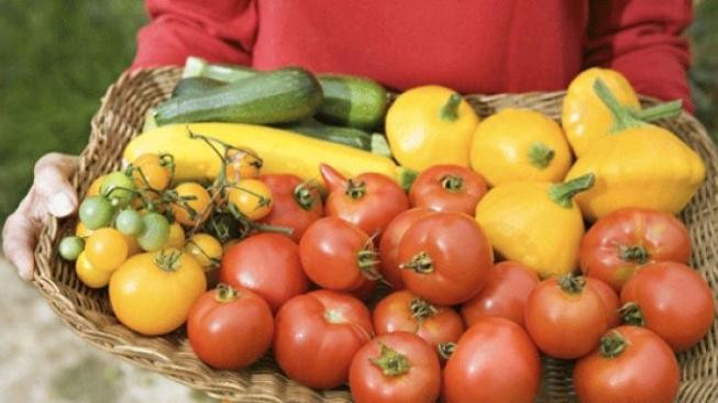 Němci odmítají pochybení u střevní nákazy. Španělé jsou roztrpčeni