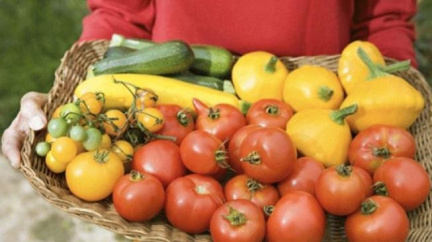 Němci odmítají pochybení u střevní nákazy. Španělé jsou roztrpčeni