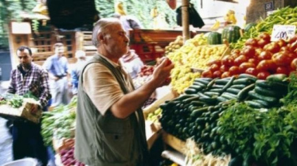 Španělské okurky zdrojem nákazy nejsou, zjistily testy