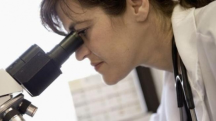 V Česku se prodalo až 120 kusů rizikových okurek ze Španělska 