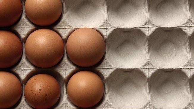 Němci našli jedovatý dioxin ve vejcích na další farmě 