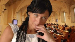 LIDEM jsou loutky v rukou TOP 09 a ODS. Herečka Chytrová jde do voleb