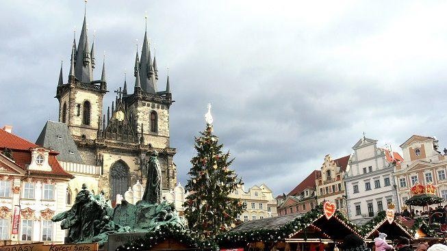 Je teprve srpen, ale Praha už hledá vánoční strom. Nabízí 10 tisíc!