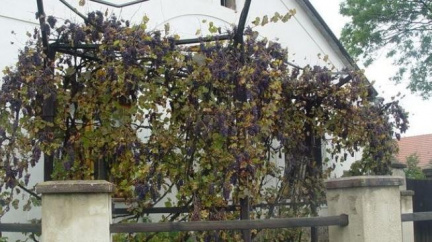 Vinařská turistika na Moravě aneb spojení hezkého s příjemným