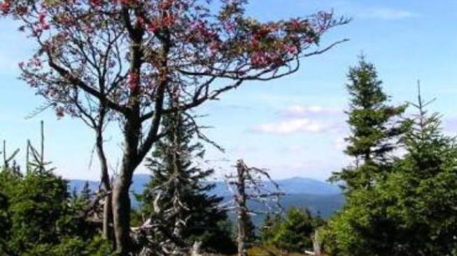 Jesenicko po lyžařích líčí na turisty a cyklisty
