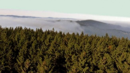 Chalupa rozhodnutím o kůrovci plně nevyhověl obcím ani ekologům