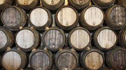 Hrůzný nález v lese: Lidé objevili sudy plné lidských embryí