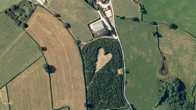 Neuvěřitelné gesto lásky! Srdce pro zesnulou manželku ze 6000 stromů