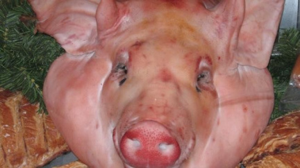 Čeští veterináři našli a pozastavili prodej asi tuny masa s dioxinem