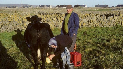Blíží se "mléčná" krize? Cena mléka klesá. Nejde na odbyt 