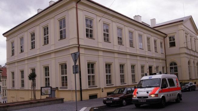 Studenti medicíny podporují v protestech lékaře. A učí se jazyky