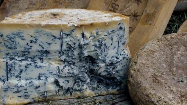 Kulinářský festival povozí gurmány autobusem po restauracích