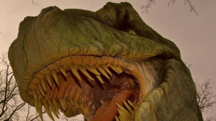 "Českého" Tyrannosaura zřejmě nikdy neobjevíme, soudí odborníci