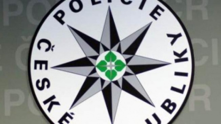 Nemocná dívka utekla po porodu z nemocnice, hledá ji policie