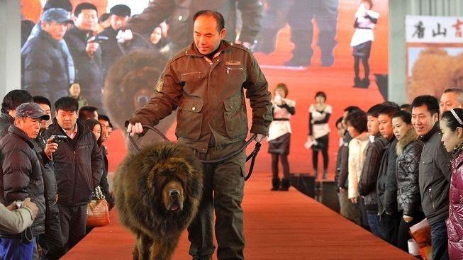 Bohatí Číňané mají nový symbol luxusu