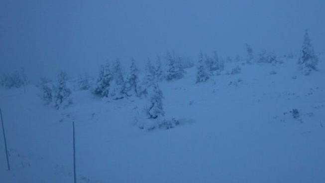 V Jeseníkách se ztratil běžkař, pátrání zatím neúspěšné