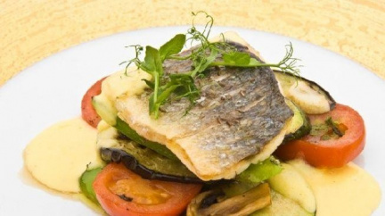 Česká ryba - ta vás chytne! Je tu gastronomický festival