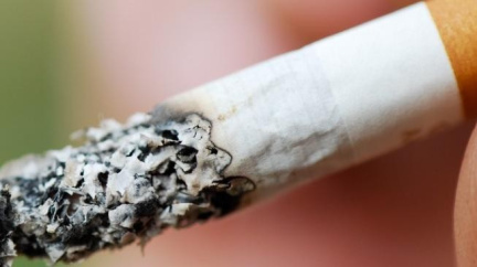 Expertka: Omezit kouření mohou jednotná balení a zdražení cigaret 