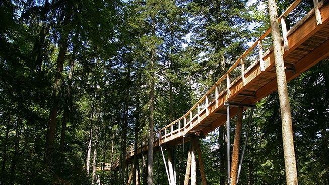 Stezka korunami stromů u Lipna uvítá první návštěvníky již dnes