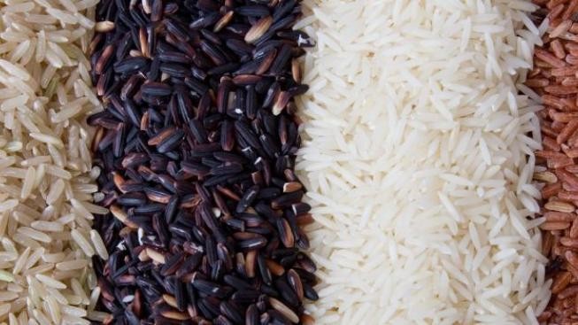 Ruští diplomaté v KLDR bojují za dobrou úrodu