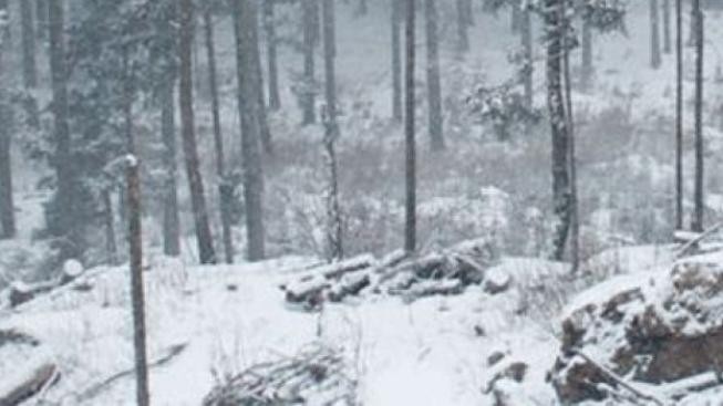 Na hřebenech hor začne sněžit, sníh by mohl vydržet