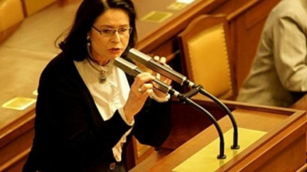 Němcová projedná s Drábkem propuštění exposlance z ministerstva