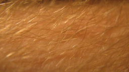 Lněný olej pro zdravou kůži, srdce a cévy