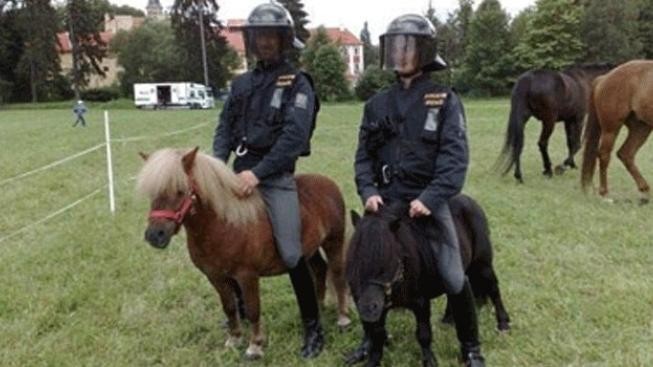 Policisté mají srandu z Johna. Jezdí na ponících a mají tažné vlčáky