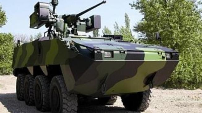 Drahé Pandury měly plavat. Neplavou