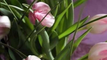 Hrad Rožmberk představí květiny na šlechtickém stole