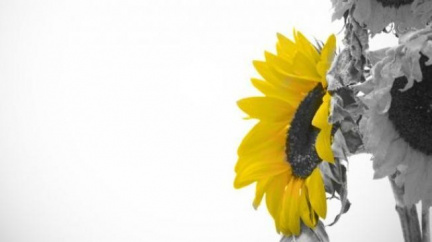 V boji s rakovinou spoléhat víc na prevenci, říká odborník 