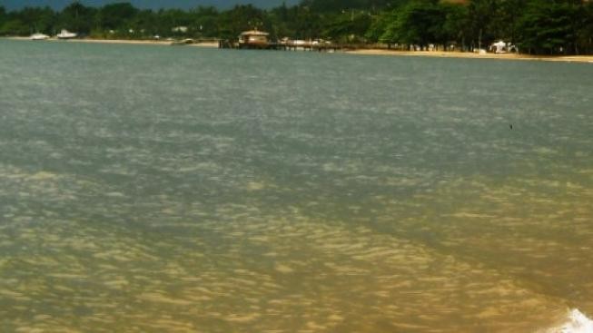 Itálie: Kněz v roli dýdžeje roztančil věřící na pláži u moře 